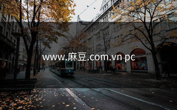 www.麻豆.com.vn pc