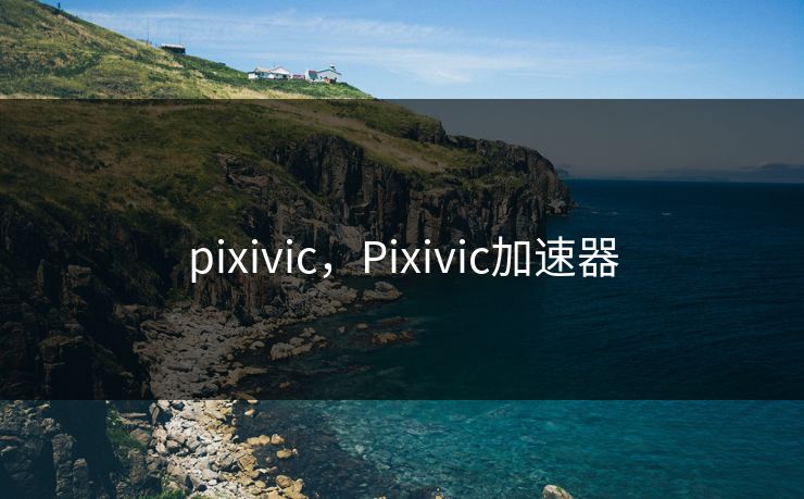 pixivic，Pixivic加速器