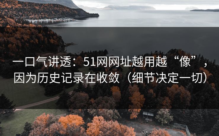 一口气讲透:51网网址越用越“像”,因为历史记录在收敛(细节决定一切) 一口气讲透:51网网址越用越“像”,因为历史记录在收敛(细节决定一切)