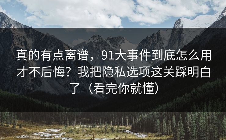 真的有点离谱，91大事件到底怎么用才不后悔？我把隐私选项这关踩明白了（看完你就懂）